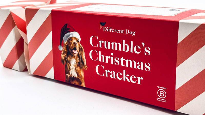 Different Dog Crumble's Christmas Cracker box